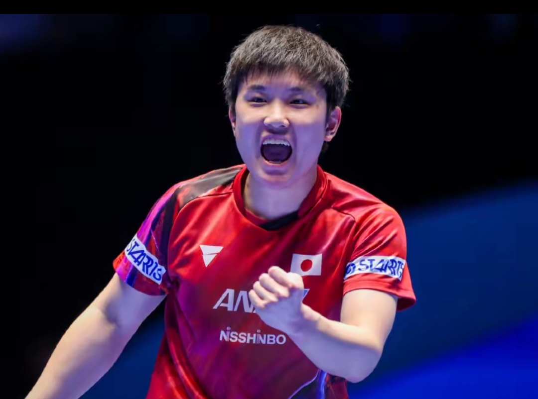 关闭看台意 关闭看台意